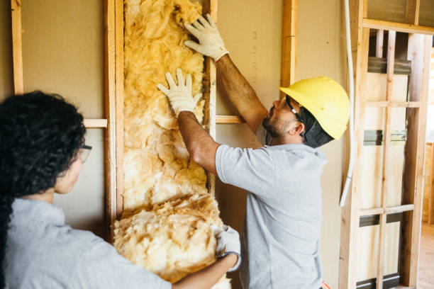 Best Wall Insulation Contractor  in Surf City, NJ
