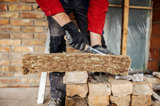 Best Insulation for New Construction  in Surf City, NJ