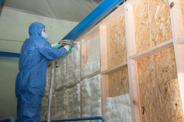 Best Insulation Contractor Near Me  in Surf City, NJ